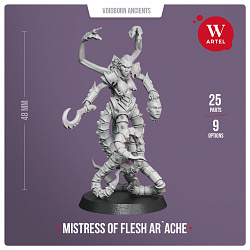 Сборные фигуры из смолы Mistress of Flesh Ar`ache, 28 мм, Артель авторской миниатюры «W»