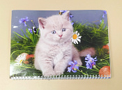 Календарь с котенком 2014 - фото