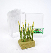 Материалы для создания диорам Цветы полевые №1 (жёлтые) 10 шт., Dasmodel - фото