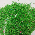 Материалы для создания диорам Присыпка средняя (имитация травы) летний луг, Dasmodel