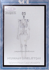 Human Skeleton Solmodel - фото