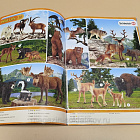 Каталог Schleich июль-декабрь 2018 (Q704-104) (Q704-104)