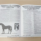 Журнал «Сержант» №26 (02/2003) (Q100-200) (Q100-200)