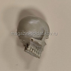 Черепа смоляные 1/6 (Q455-075) (Q455-075)