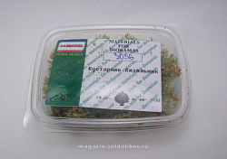 Материалы для создания диорам Кустарник кизильник 20 шт, Dasmodel (DAS3056) (DAS3056)