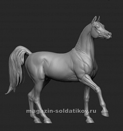 Сборная миниатюра из смолы Лошадь №11 - Арабская порода, 54 мм, Chronos miniatures