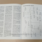 Букинистика Викинги. Иллюстрированная мировая история (Q540-1131) (Q540-1131)
