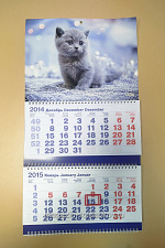 Календарь с котенком 2015 - фото