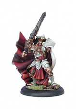 Сборная миниатюра из металла PIP 32039 Protectorate High Paladin Dartan Vilmon BLI Warmachine - фото
