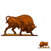 Волшебная фанера Зубры,телята, Зубр 7, Воины и битвы - фото