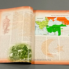Журнал «100 битв, которые изменили мир». Плевна - 1877 (100битв-089) (100битв-089)