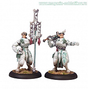 PIP 35027 Retribution Dawnguard Invictor Officer & Standard Bearer Unit Attachment BLI, Warmachine. Wargames (игровая миниатюра) - фото