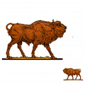 Волшебная фанера Зубры,телята, Зубр 10, Воины и битвы - фото