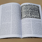 Дрожи-поле. Охматовская битва 1655 г.