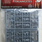 Сборные фигуры из пластика Macedonian Phalangites Victrix (VXA019) (VXA019)