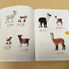Каталог Schleich 2014 (Q704-099) (Q704-099)