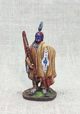 Индеец, 54 мм, Студия Большой полк - фото