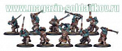 PIP 71042 Trollblood Fenn Blade Unit (10 Plastic Models) BOX, Warmachine. Wargames (игровая миниатюра) - фото