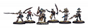 PIP 34030 Cryx Revenant Pirate Crew Unit BOX Warmachine. Фэнтези - фото