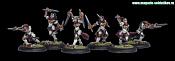 PIP 32046 Protectorate Daughters of the Flame Unit BOX, Warmachine. Wargames (игровая миниатюра) - фото