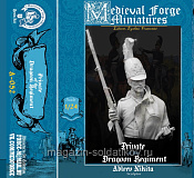 Бюст из смолы Рядовой Драгунских полков, 1:10 Medieval Forge Miniatures - фото