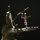 Сборная миниатюра из смолы Berreggar The Mushrooms 120 mm, Legion Miniatures